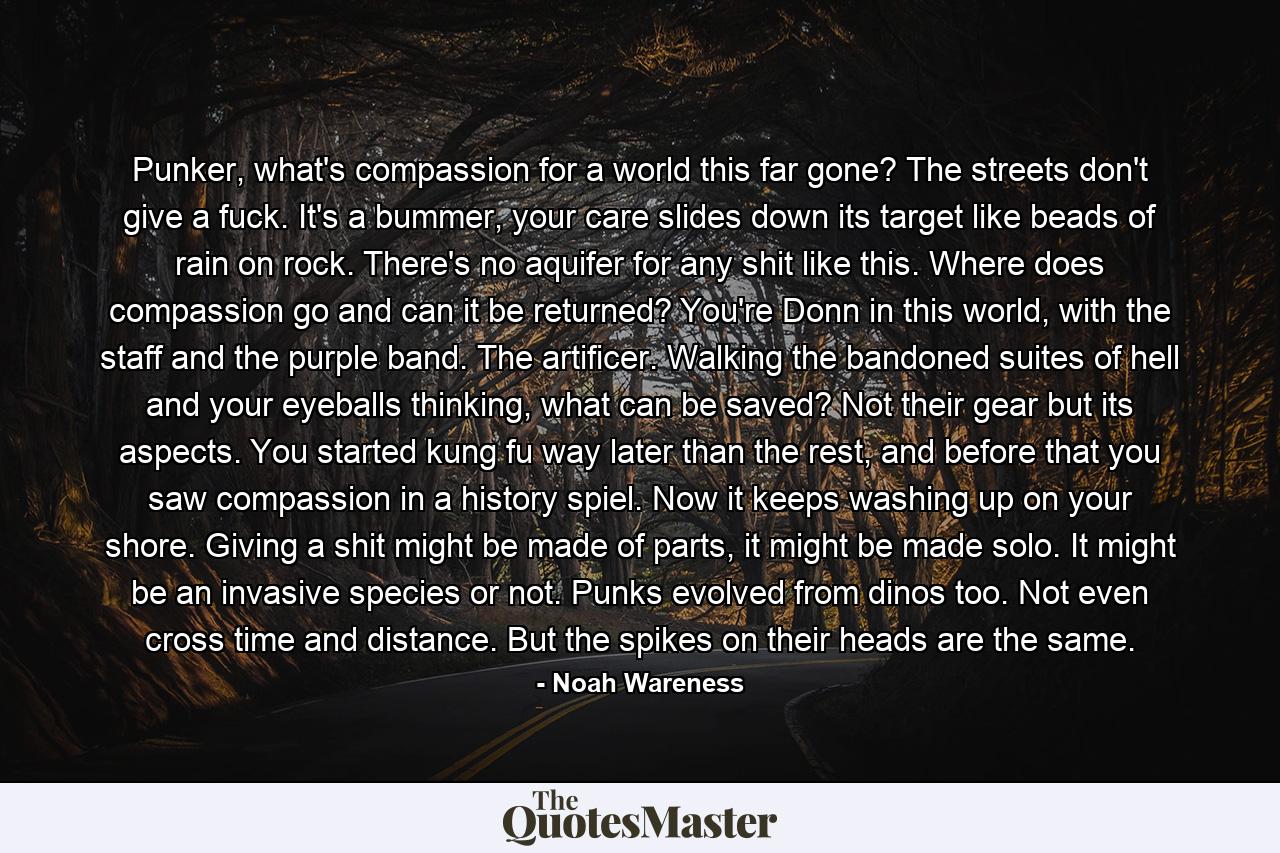 Punker, what's compassion for a world this far gone? The streets don't give a fuck. It's a bummer, your care slides down its target like beads of rain on rock. There's no aquifer for any shit like this. Where does compassion go and can it be returned? You're Donn in this world, with the staff and the purple band. The artificer. Walking the bandoned suites of hell and your eyeballs thinking, what can be saved? Not their gear but its aspects. You started kung fu way later than the rest, and before that you saw compassion in a history spiel. Now it keeps washing up on your shore. Giving a shit might be made of parts, it might be made solo. It might be an invasive species or not. Punks evolved from dinos too. Not even cross time and distance. But the spikes on their heads are the same. - Quote by Noah Wareness