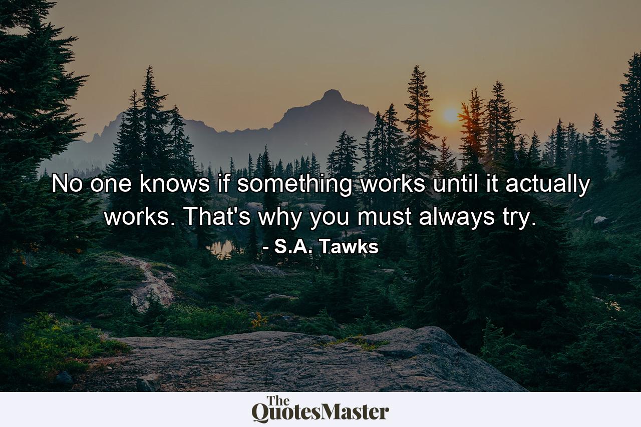 No one knows if something works until it actually works. That's why you must always try. - Quote by S.A. Tawks