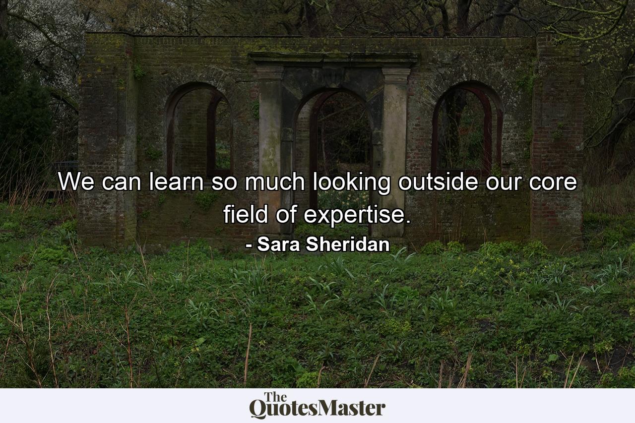 We can learn so much looking outside our core field of expertise. - Quote by Sara Sheridan