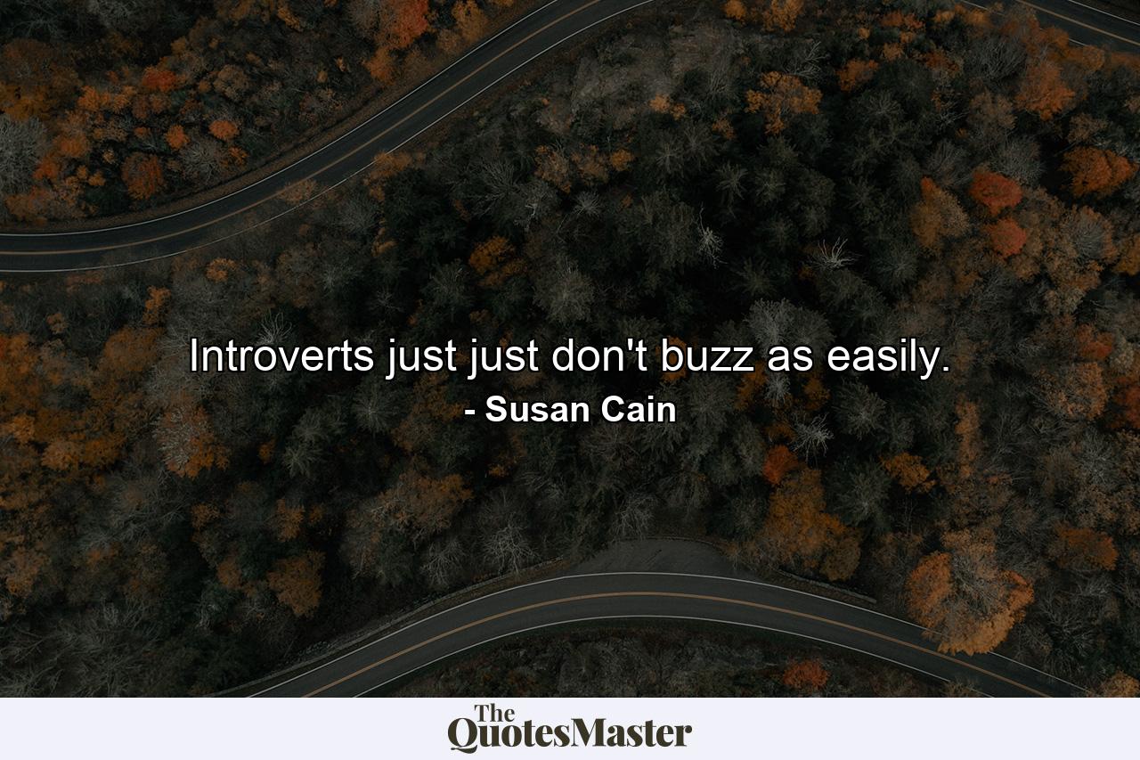 Introverts just just don't buzz as easily. - Quote by Susan Cain