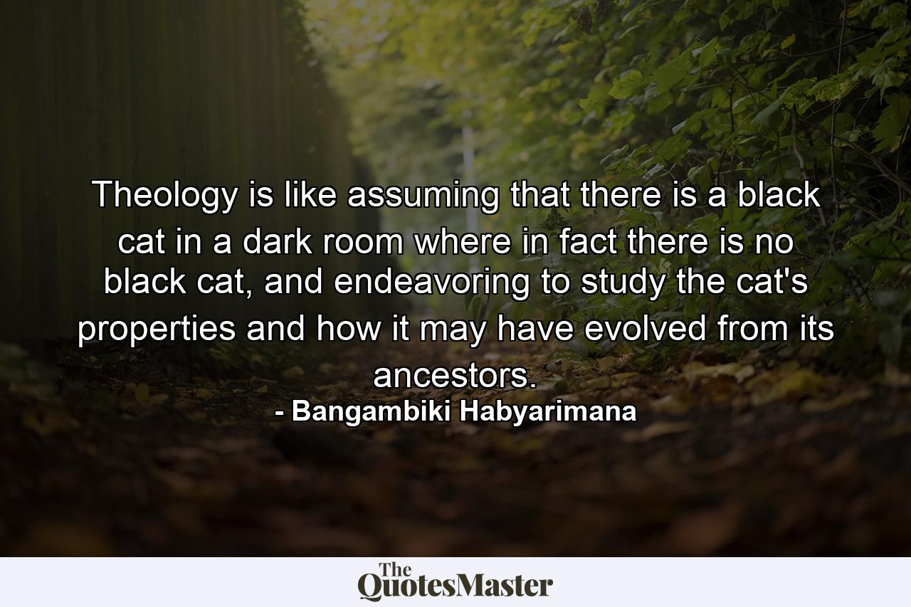 Theology is like assuming that there is a black cat in a dark room where in fact there is no black cat, and endeavoring to study the cat's properties and how it may have evolved from its ancestors. - Quote by Bangambiki Habyarimana