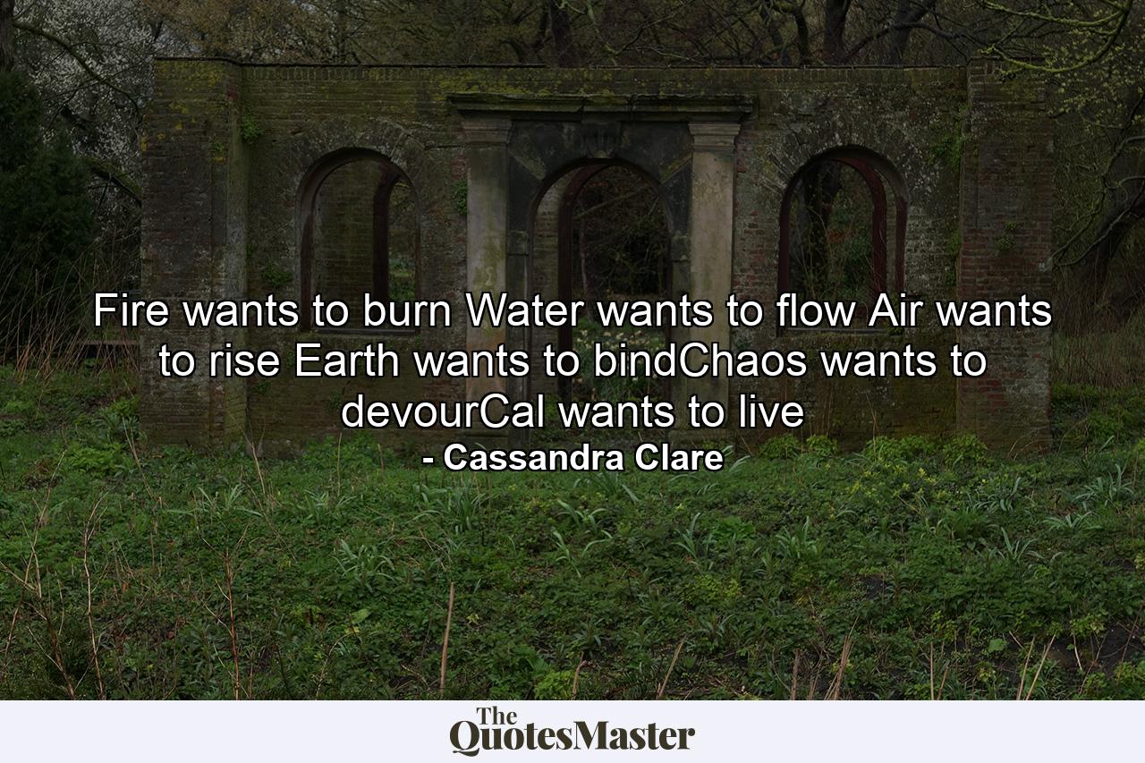 Fire wants to burn Water wants to flow Air wants to rise Earth wants to bindChaos wants to devourCal wants to live - Quote by Cassandra Clare