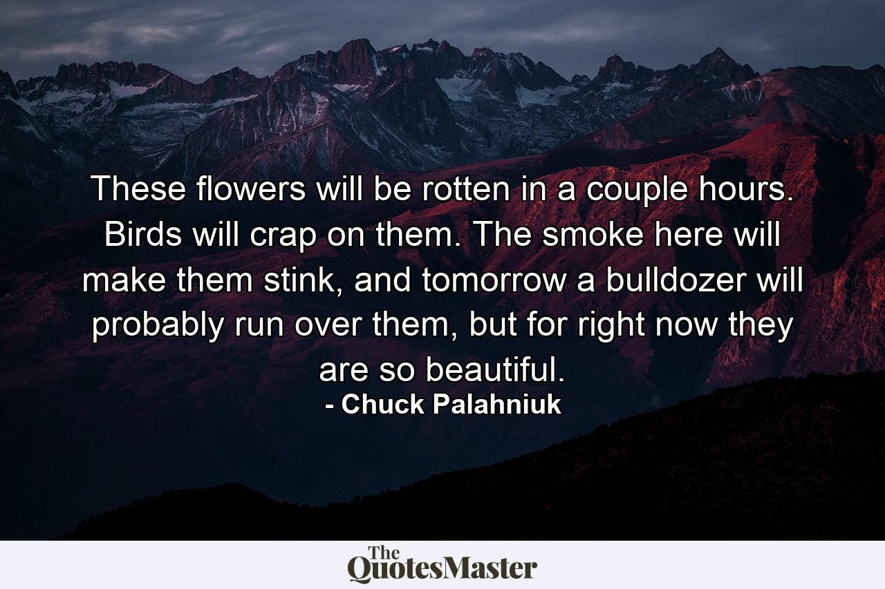 These flowers will be rotten in a couple hours. Birds will crap on them. The smoke here will make them stink, and tomorrow a bulldozer will probably run over them, but for right now they are so beautiful. - Quote by Chuck Palahniuk