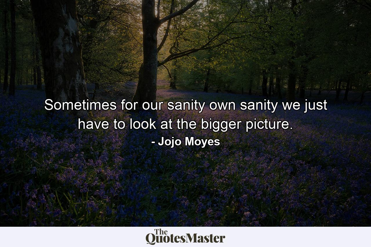 Sometimes for our sanity own sanity we just have to look at the bigger picture. - Quote by Jojo Moyes