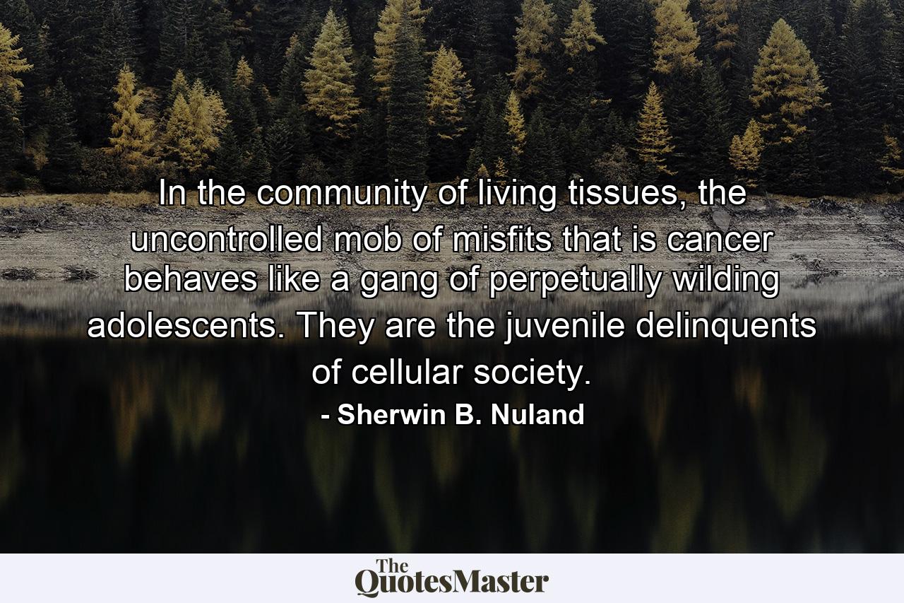 In the community of living tissues, the uncontrolled mob of misfits that is cancer behaves like a gang of perpetually wilding adolescents. They are the juvenile delinquents of cellular society. - Quote by Sherwin B. Nuland