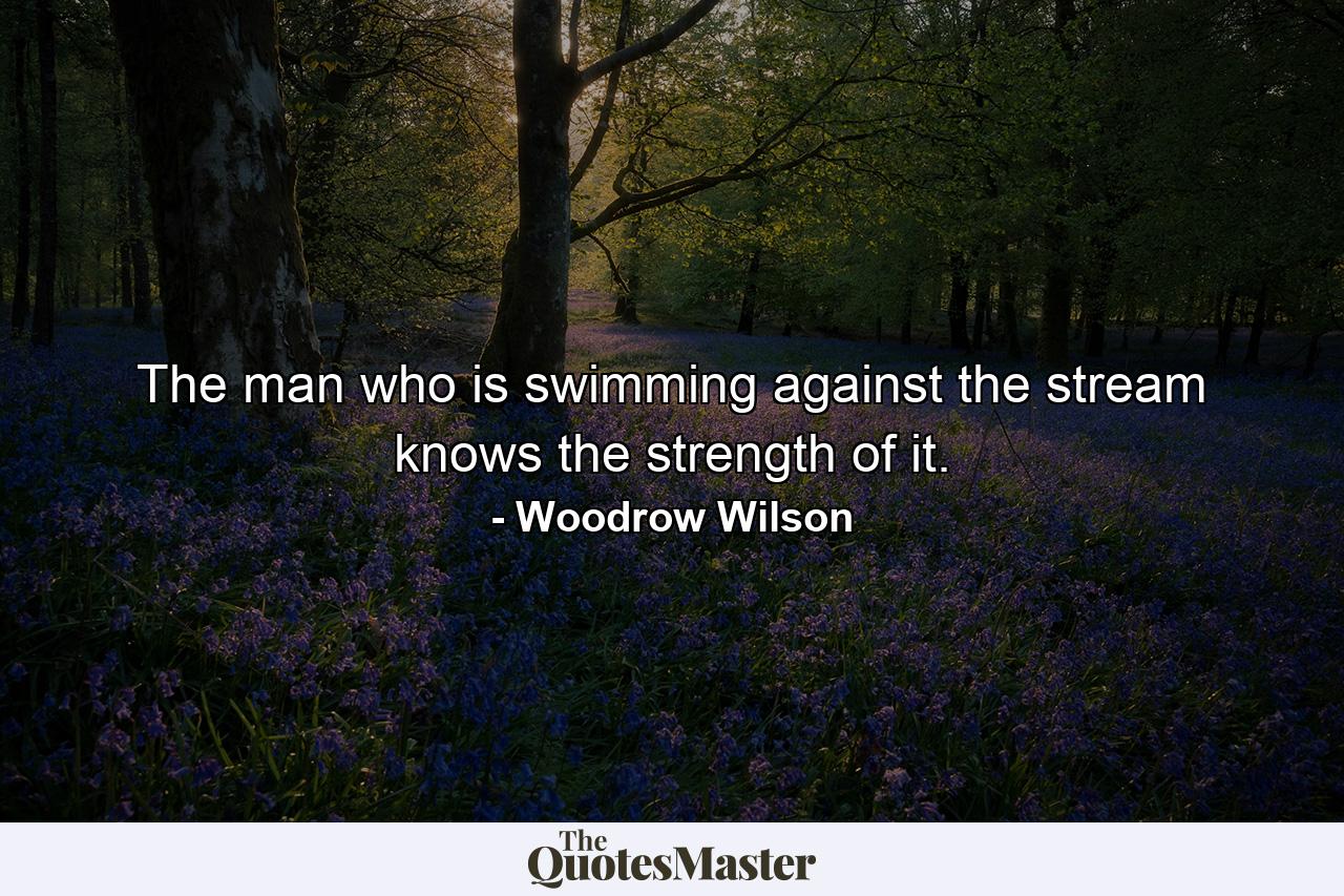 The man who is swimming against the stream knows the strength of it. - Quote by Woodrow Wilson