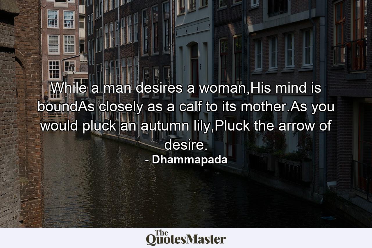 While a man desires a woman,His mind is boundAs closely as a calf to its mother.As you would pluck an autumn lily,Pluck the arrow of desire. - Quote by Dhammapada