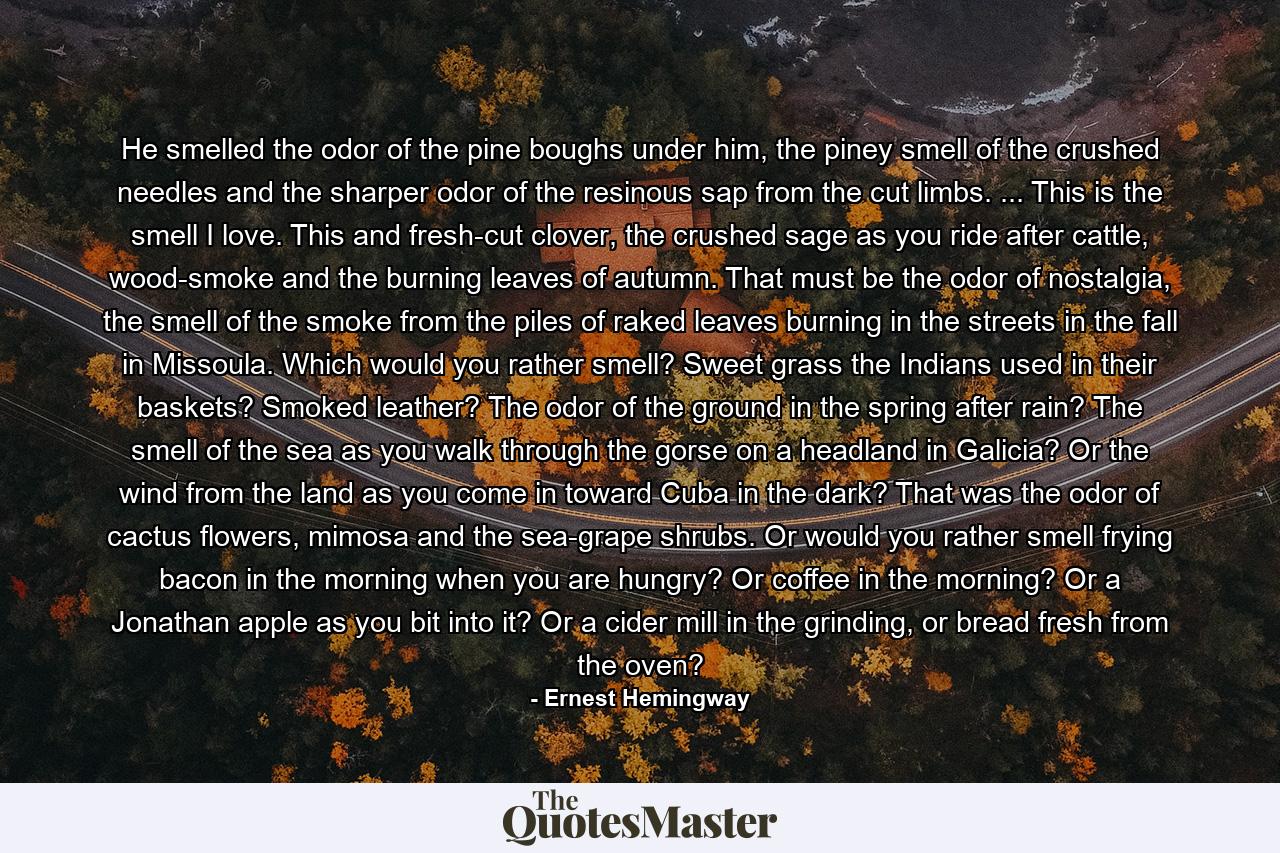 He smelled the odor of the pine boughs under him, the piney smell of the crushed needles and the sharper odor of the resinous sap from the cut limbs. ... This is the smell I love. This and fresh-cut clover, the crushed sage as you ride after cattle, wood-smoke and the burning leaves of autumn. That must be the odor of nostalgia, the smell of the smoke from the piles of raked leaves burning in the streets in the fall in Missoula. Which would you rather smell? Sweet grass the Indians used in their baskets? Smoked leather? The odor of the ground in the spring after rain? The smell of the sea as you walk through the gorse on a headland in Galicia? Or the wind from the land as you come in toward Cuba in the dark? That was the odor of cactus flowers, mimosa and the sea-grape shrubs. Or would you rather smell frying bacon in the morning when you are hungry? Or coffee in the morning? Or a Jonathan apple as you bit into it? Or a cider mill in the grinding, or bread fresh from the oven? - Quote by Ernest Hemingway