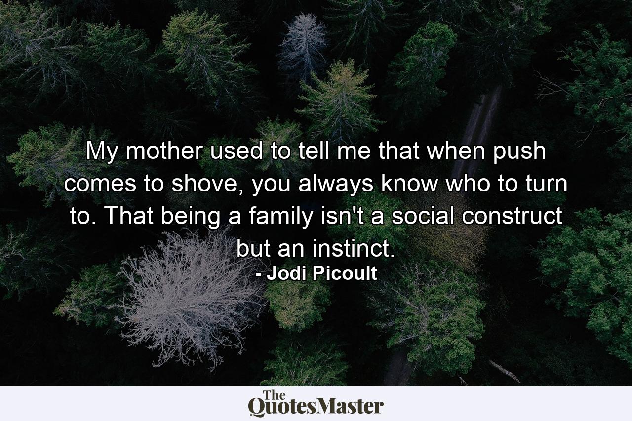 My mother used to tell me that when push comes to shove, you always know who to turn to. That being a family isn't a social construct but an instinct. - Quote by Jodi Picoult