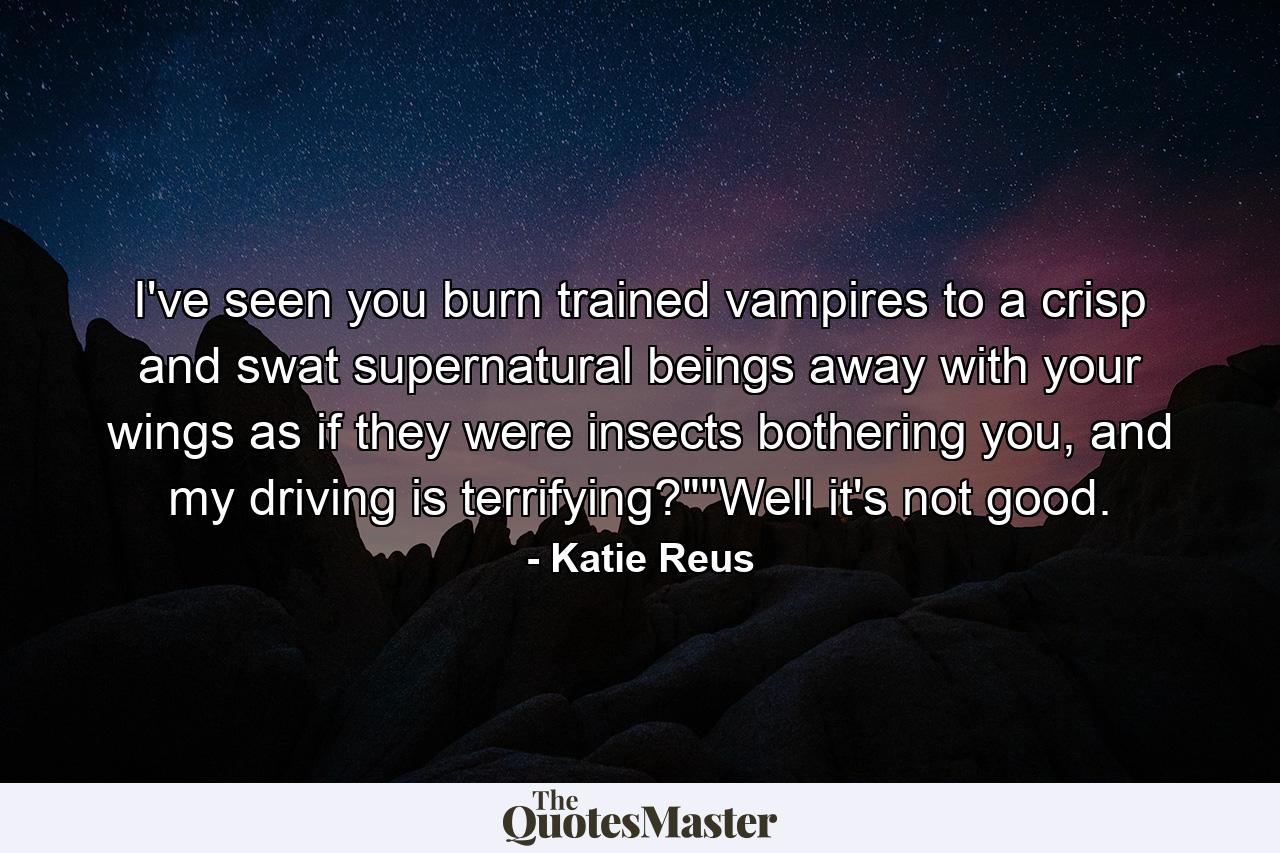 I've seen you burn trained vampires to a crisp and swat supernatural beings away with your wings as if they were insects bothering you, and my driving is terrifying?