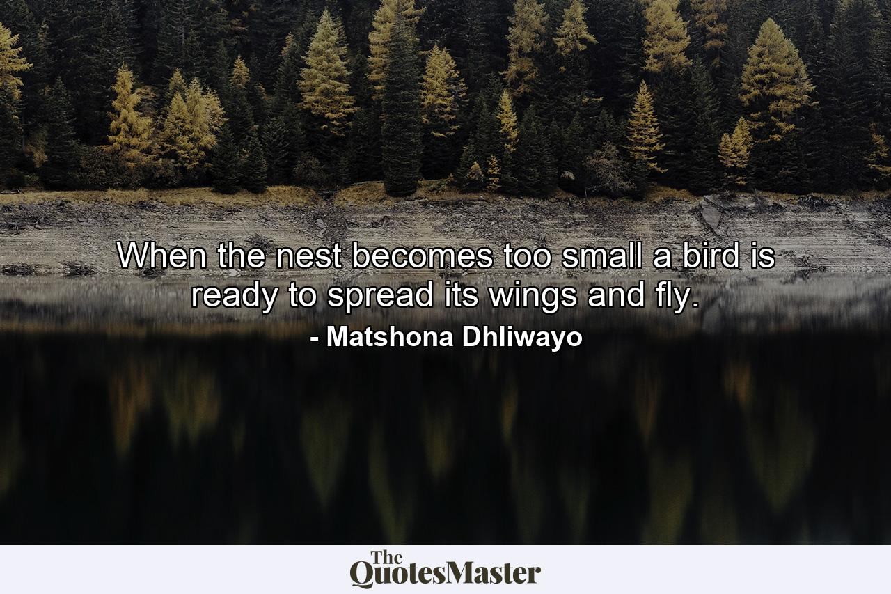 When the nest becomes too small a bird is ready to spread its wings and fly. - Quote by Matshona Dhliwayo