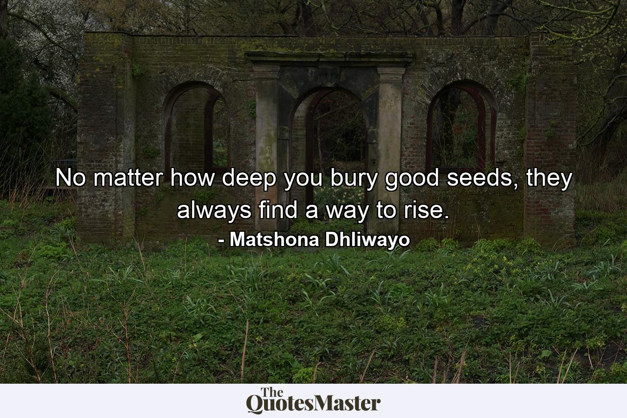 No matter how deep you bury good seeds, they always find a way to rise. - Quote by Matshona Dhliwayo