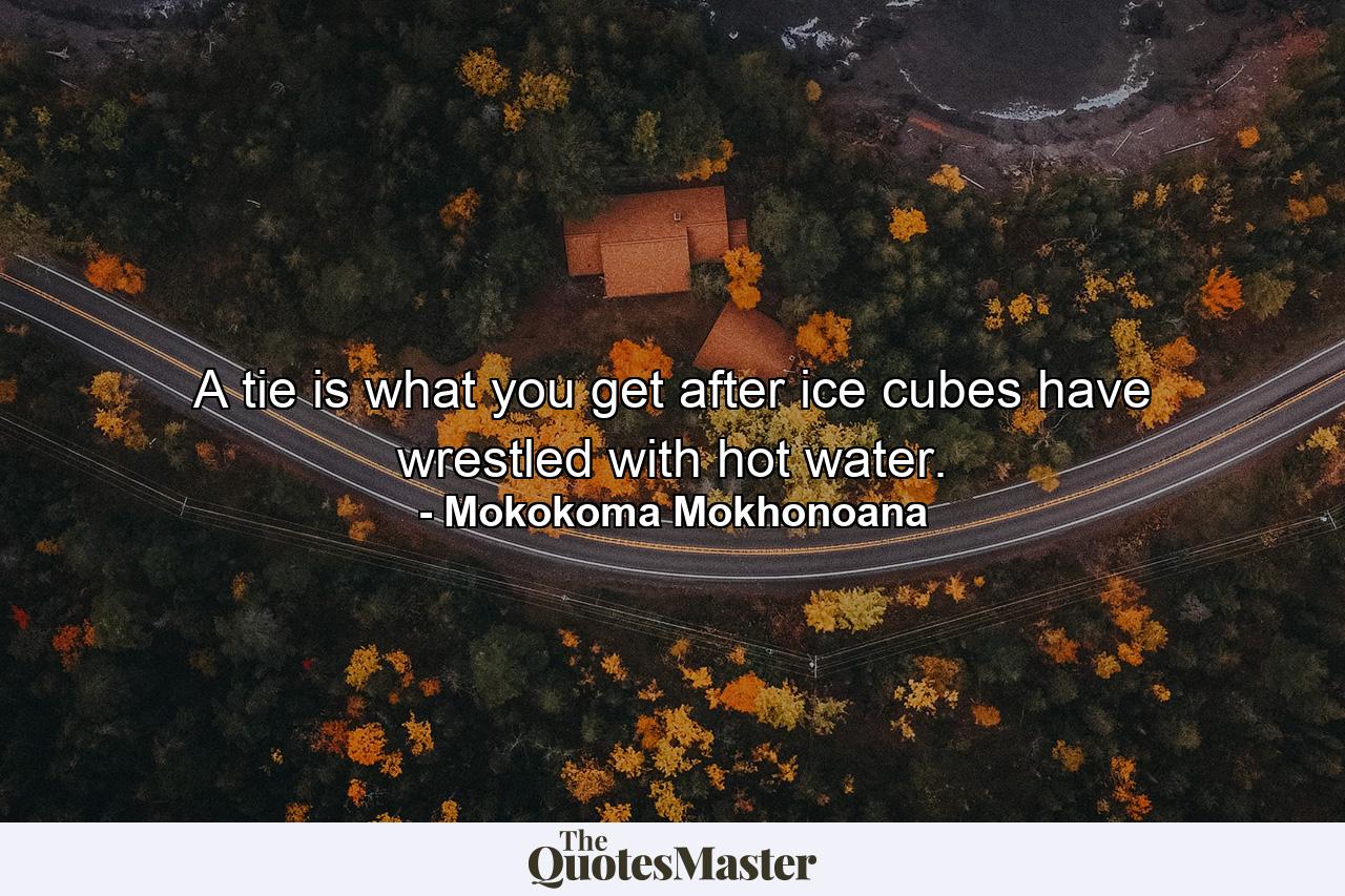 A tie is what you get after ice cubes have wrestled with hot water. - Quote by Mokokoma Mokhonoana