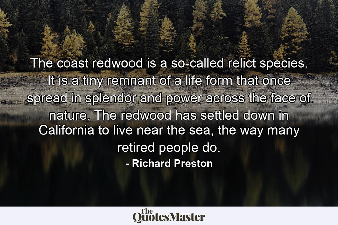 The coast redwood is a so-called relict species. It is a tiny remnant of a life form that once spread in splendor and power across the face of nature. The redwood has settled down in California to live near the sea, the way many retired people do. - Quote by Richard Preston