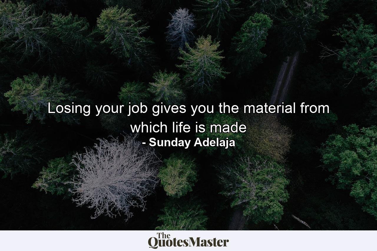 Losing your job gives you the material from which life is made - Quote by Sunday Adelaja