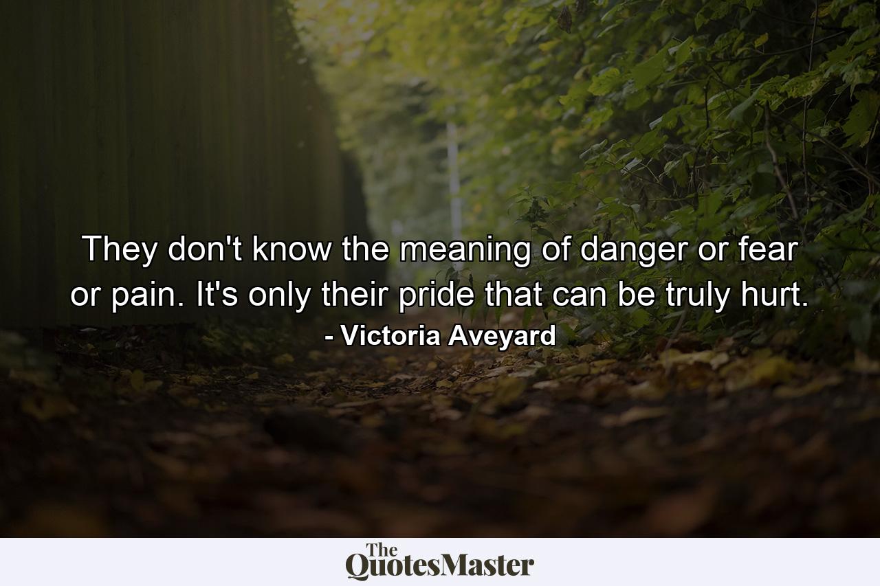 They don't know the meaning of danger or fear or pain. It's only their pride that can be truly hurt. - Quote by Victoria Aveyard