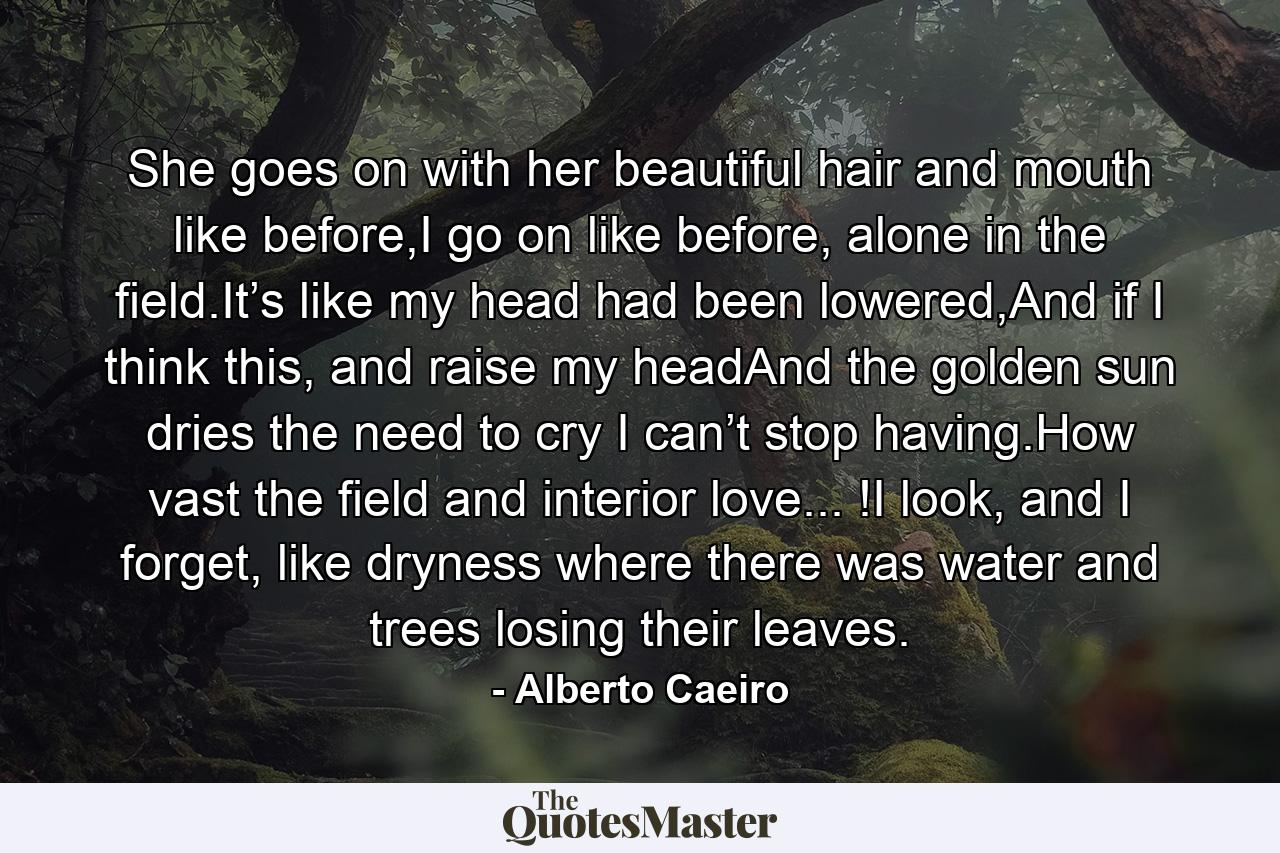 She goes on with her beautiful hair and mouth like before,I go on like before, alone in the field.It’s like my head had been lowered,And if I think this, and raise my headAnd the golden sun dries the need to cry I can’t stop having.How vast the field and interior love... !I look, and I forget, like dryness where there was water and trees losing their leaves. - Quote by Alberto Caeiro