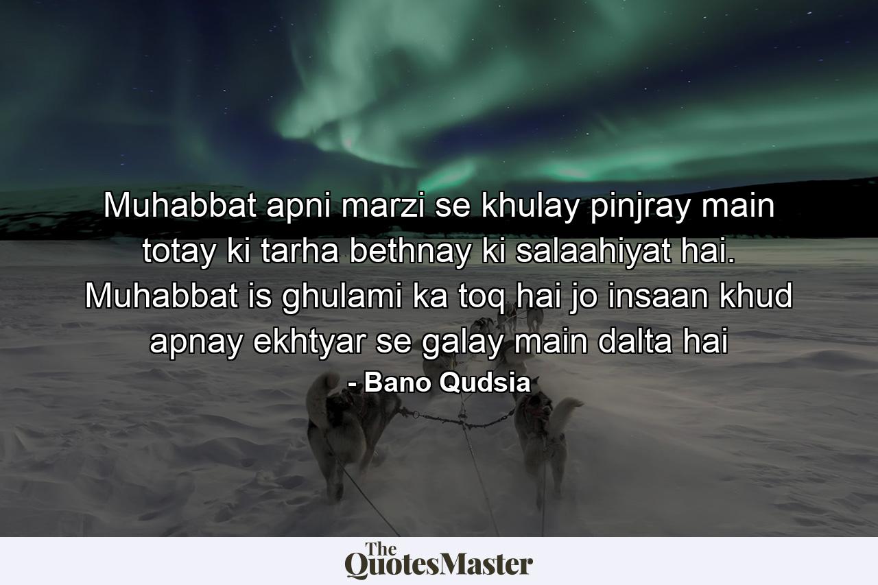 Muhabbat apni marzi se khulay pinjray main totay ki tarha bethnay ki salaahiyat hai. Muhabbat is ghulami ka toq hai jo insaan khud apnay ekhtyar se galay main dalta hai - Quote by Bano Qudsia