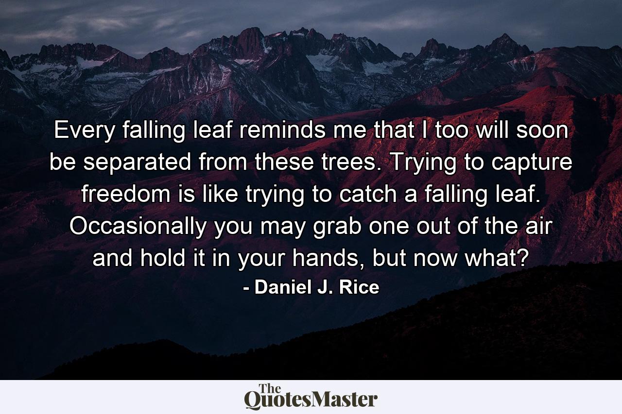 Every falling leaf reminds me that I too will soon be separated from these trees. Trying to capture freedom is like trying to catch a falling leaf. Occasionally you may grab one out of the air and hold it in your hands, but now what? - Quote by Daniel J. Rice