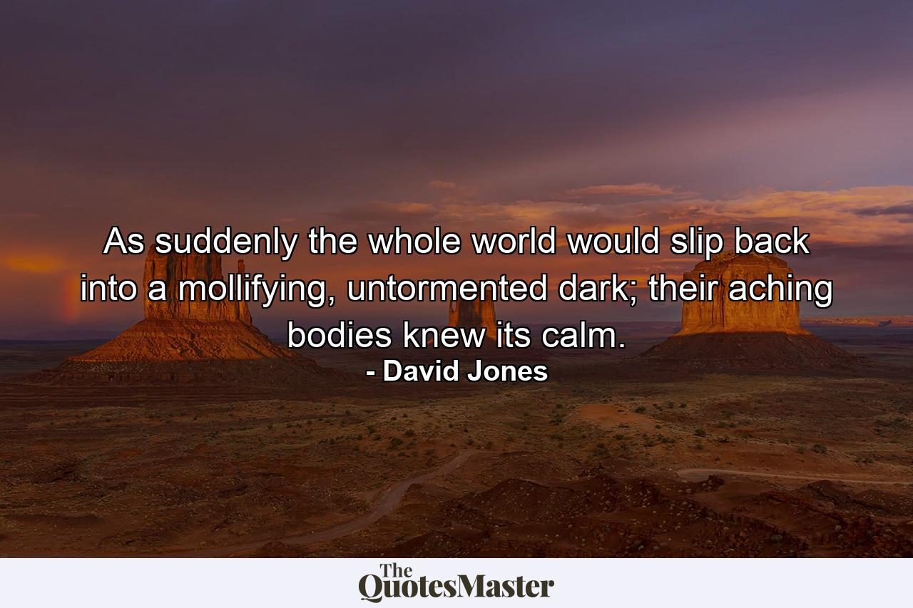 As suddenly the whole world would slip back into a mollifying, untormented dark; their aching bodies knew its calm. - Quote by David Jones