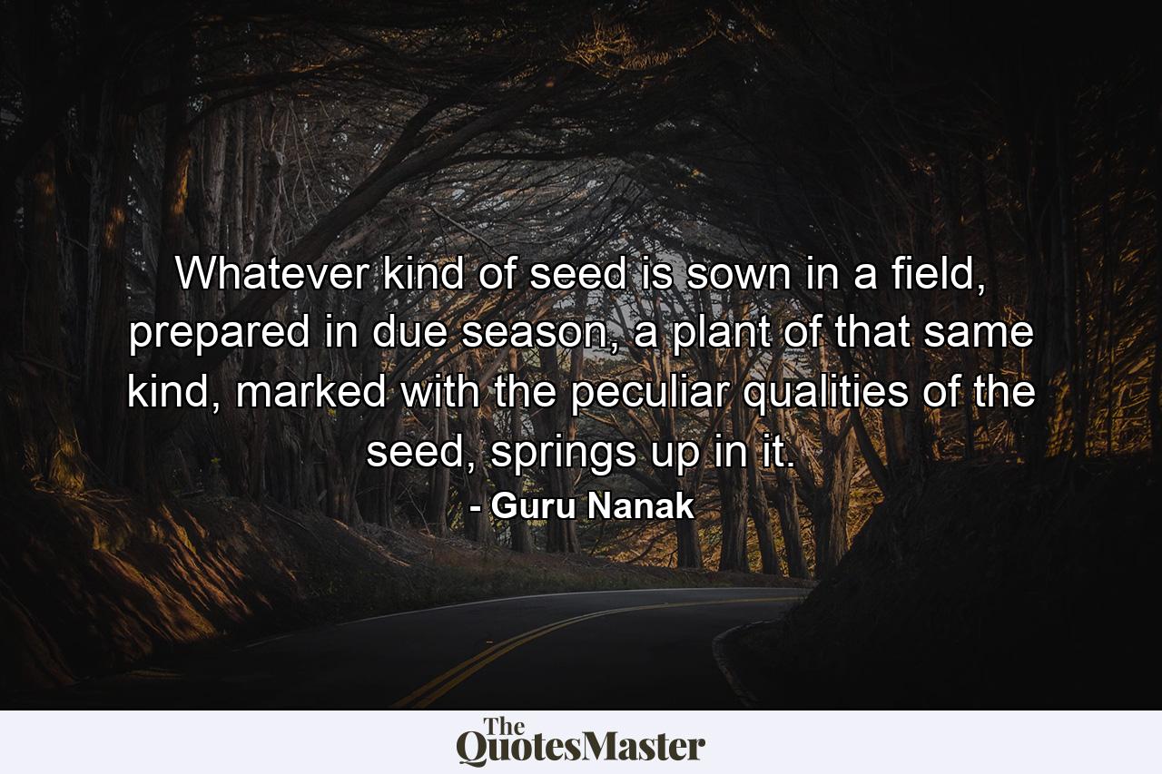 Whatever kind of seed is sown in a field, prepared in due season, a plant of that same kind, marked with the peculiar qualities of the seed, springs up in it. - Quote by Guru Nanak