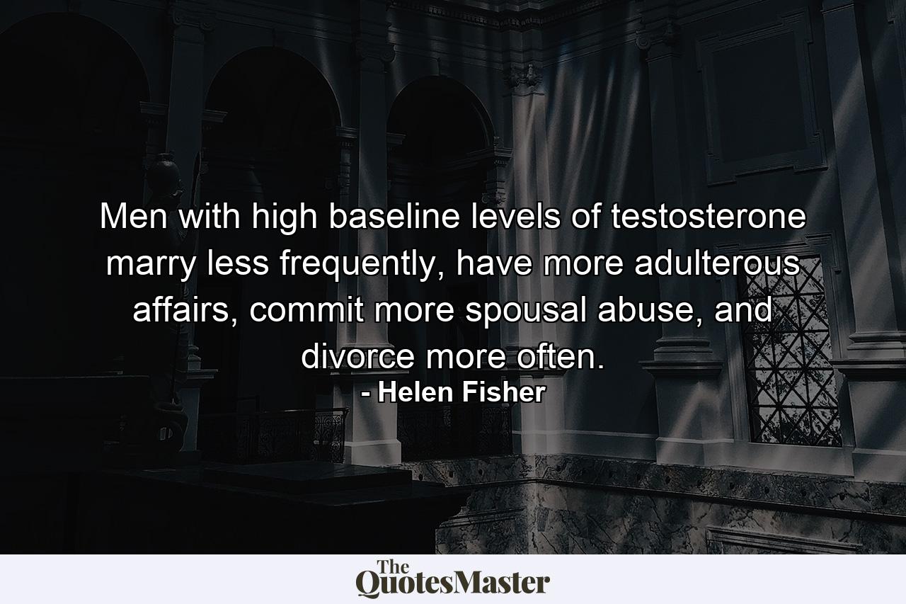 Men with high baseline levels of testosterone marry less frequently, have more adulterous affairs, commit more spousal abuse, and divorce more often. - Quote by Helen Fisher