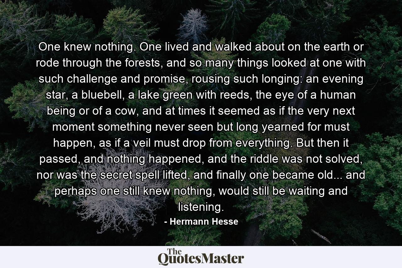 One knew nothing. One lived and walked about on the earth or rode through the forests, and so many things looked at one with such challenge and promise, rousing such longing: an evening star, a bluebell, a lake green with reeds, the eye of a human being or of a cow, and at times it seemed as if the very next moment something never seen but long yearned for must happen, as if a veil must drop from everything. But then it passed, and nothing happened, and the riddle was not solved, nor was the secret spell lifted, and finally one became old... and perhaps one still knew nothing, would still be waiting and listening. - Quote by Hermann Hesse