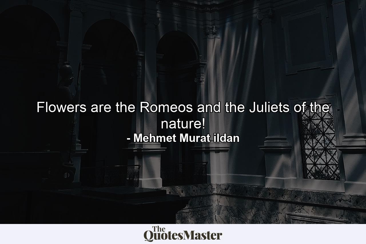 Flowers are the Romeos and the Juliets of the nature! - Quote by Mehmet Murat ildan