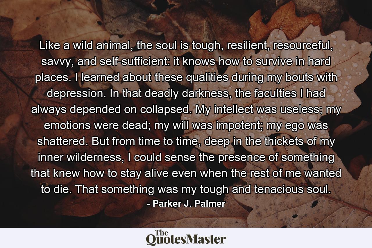 Like a wild animal, the soul is tough, resilient, resourceful, savvy, and self-sufficient: it knows how to survive in hard places. I learned about these qualities during my bouts with depression. In that deadly darkness, the faculties I had always depended on collapsed. My intellect was useless; my emotions were dead; my will was impotent; my ego was shattered. But from time to time, deep in the thickets of my inner wilderness, I could sense the presence of something that knew how to stay alive even when the rest of me wanted to die. That something was my tough and tenacious soul. - Quote by Parker J. Palmer