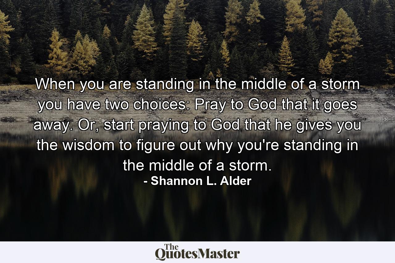 When you are standing in the middle of a storm you have two choices: Pray to God that it goes away. Or, start praying to God that he gives you the wisdom to figure out why you're standing in the middle of a storm. - Quote by Shannon L. Alder