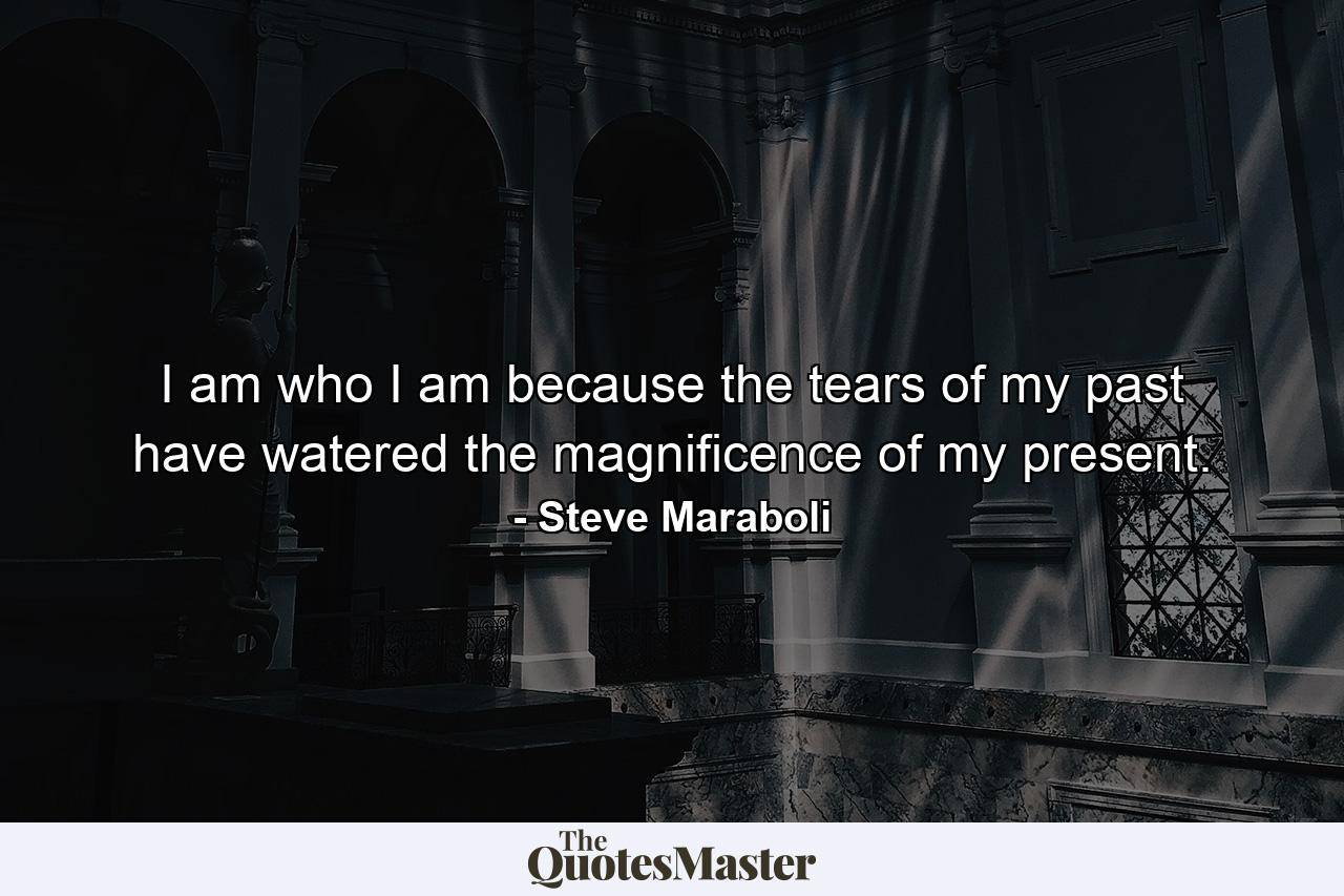 I am who I am because the tears of my past have watered the magnificence of my present. - Quote by Steve Maraboli