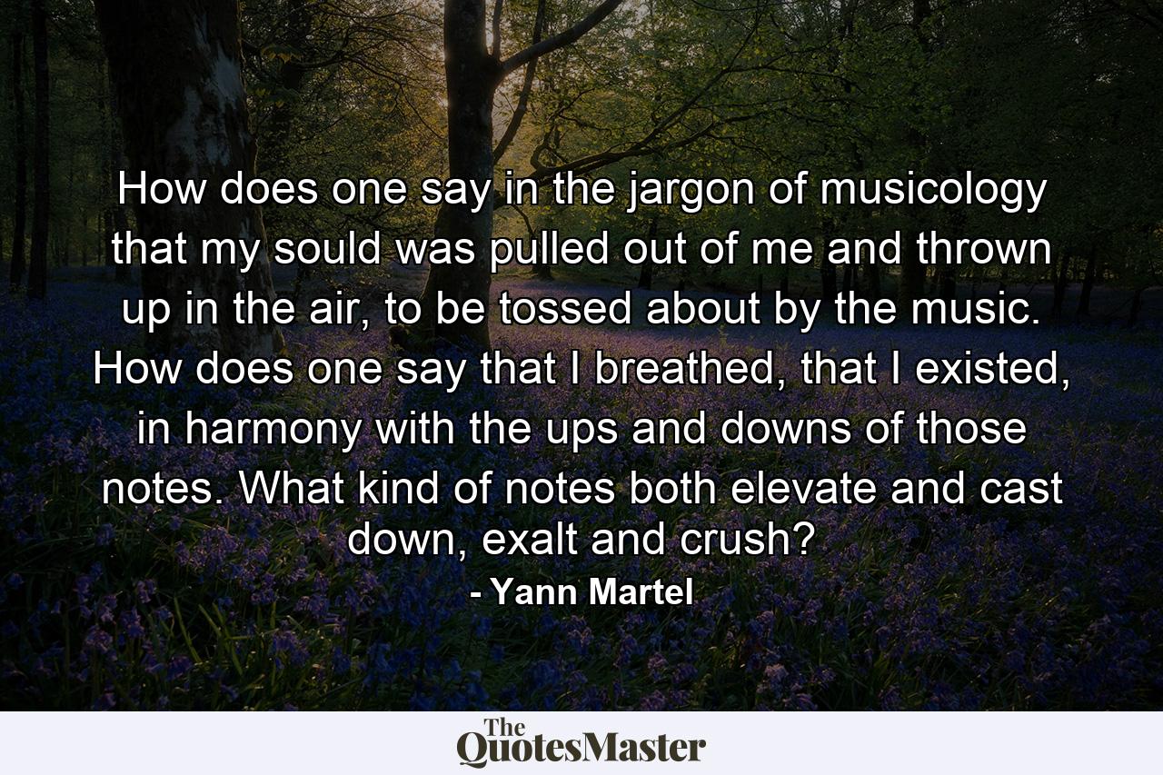 How does one say in the jargon of musicology that my sould was pulled out of me and thrown up in the air, to be tossed about by the music. How does one say that I breathed, that I existed, in harmony with the ups and downs of those notes. What kind of notes both elevate and cast down, exalt and crush? - Quote by Yann Martel