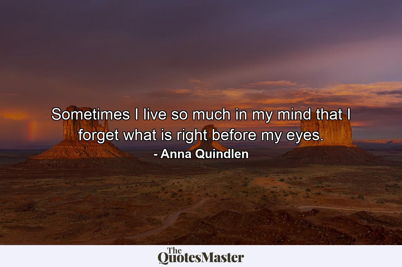 Sometimes I live so much in my mind that I forget what is right before my eyes. - Quote by Anna Quindlen