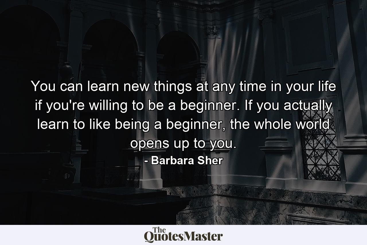 You can learn new things at any time in your life if you're willing to be a beginner. If you actually learn to like being a beginner, the whole world opens up to you. - Quote by Barbara Sher