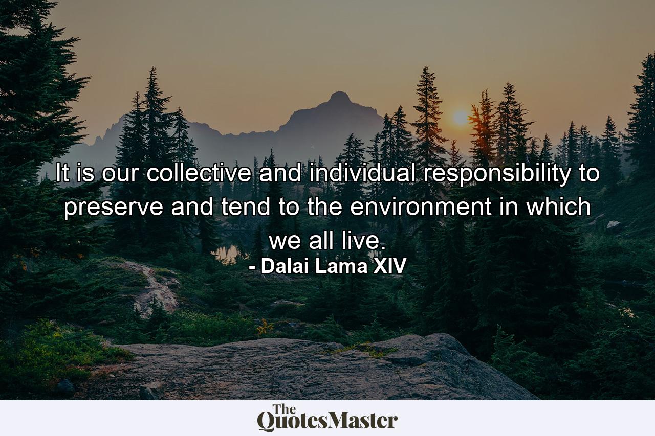 It is our collective and individual responsibility to preserve and tend to the environment in which we all live. - Quote by Dalai Lama XIV