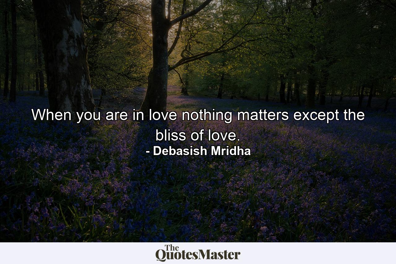 When you are in love nothing matters except the bliss of love. - Quote by Debasish Mridha