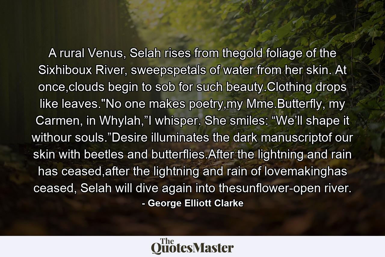 A rural Venus, Selah rises from thegold foliage of the Sixhiboux River, sweepspetals of water from her skin. At once,clouds begin to sob for such beauty.Clothing drops like leaves.