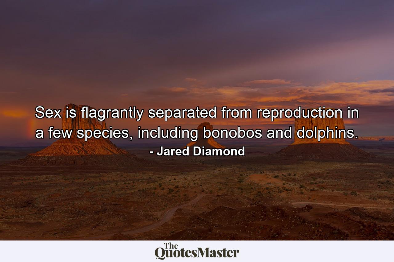 Sex is flagrantly separated from reproduction in a few species, including bonobos and dolphins. - Quote by Jared Diamond