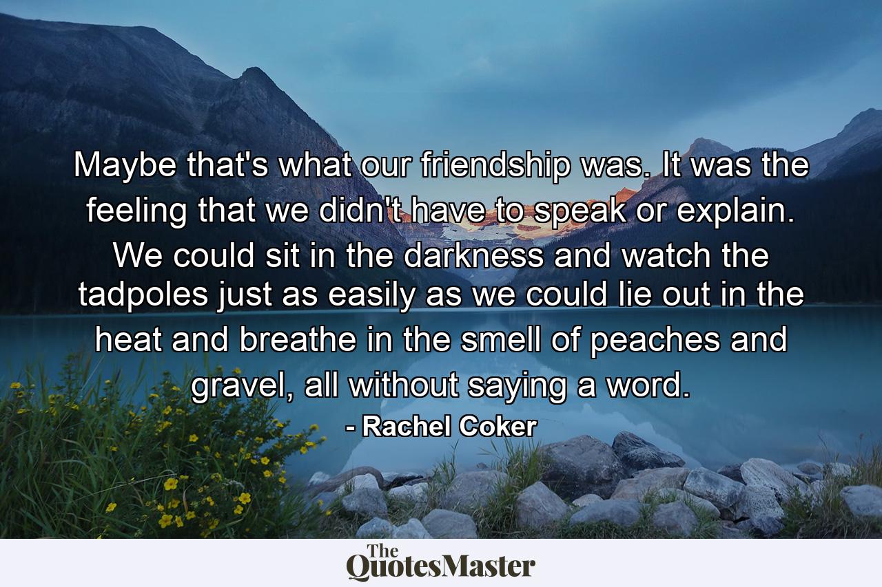 Maybe that's what our friendship was. It was the feeling that we didn't have to speak or explain. We could sit in the darkness and watch the tadpoles just as easily as we could lie out in the heat and breathe in the smell of peaches and gravel, all without saying a word. - Quote by Rachel Coker