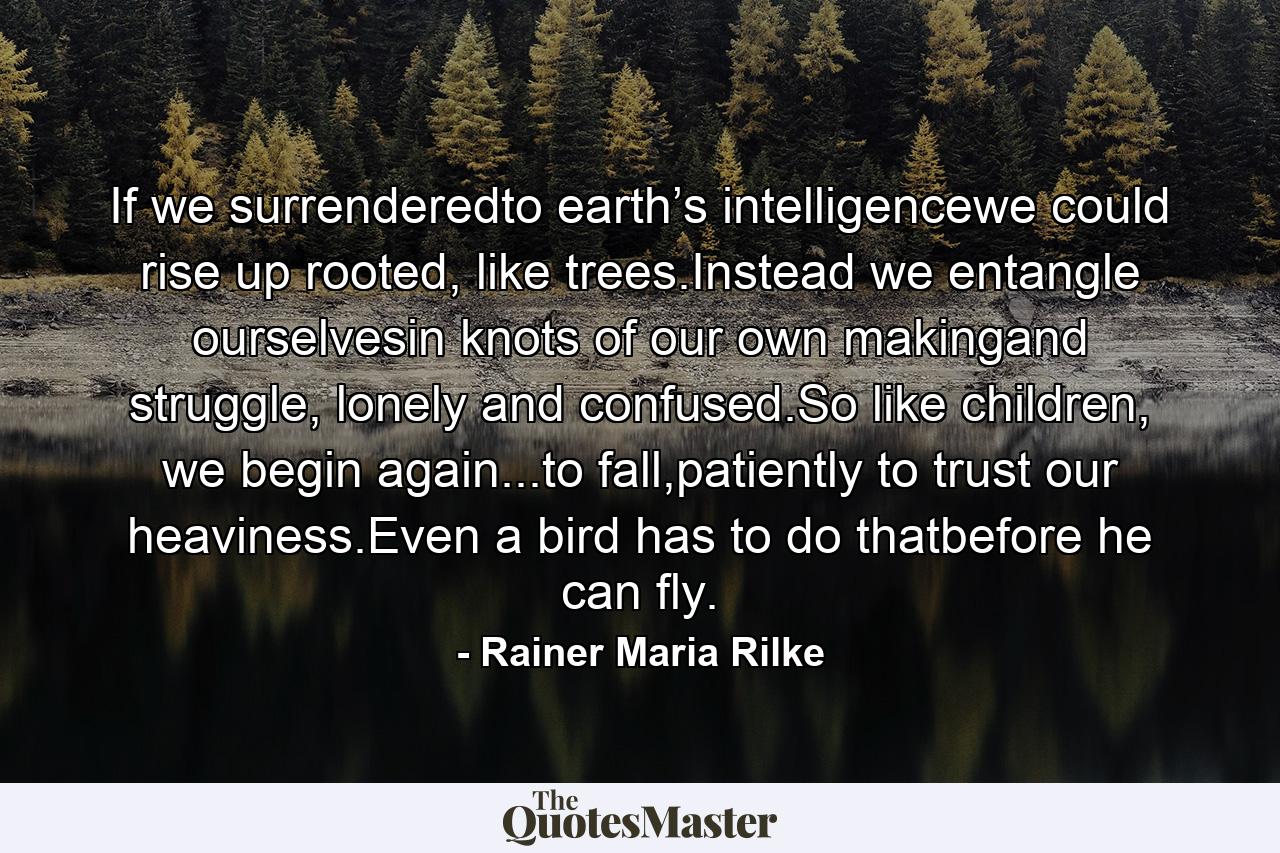 If we surrenderedto earth’s intelligencewe could rise up rooted, like trees.Instead we entangle ourselvesin knots of our own makingand struggle, lonely and confused.So like children, we begin again...to fall,patiently to trust our heaviness.Even a bird has to do thatbefore he can fly. - Quote by Rainer Maria Rilke