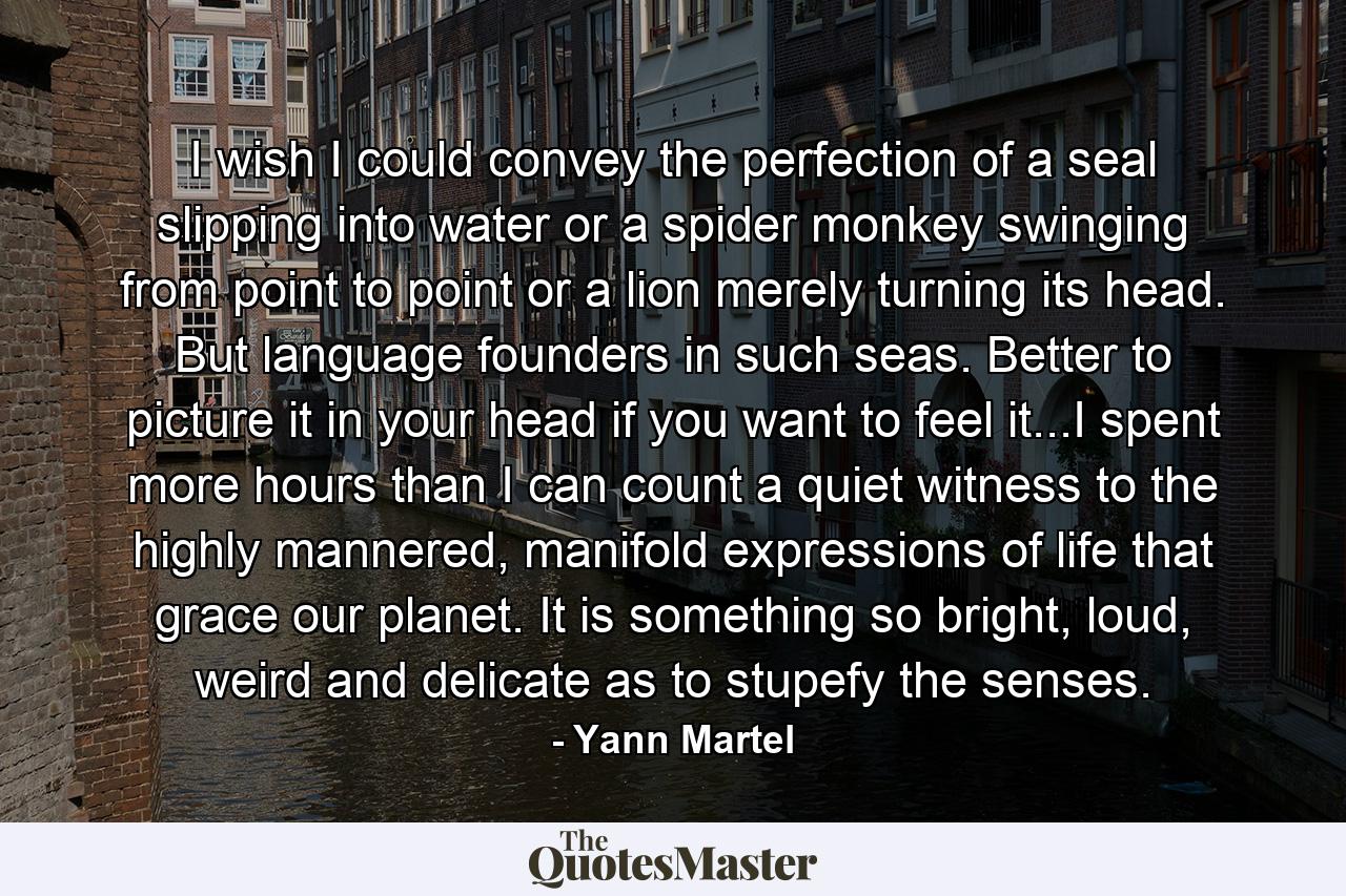 I wish I could convey the perfection of a seal slipping into water or a spider monkey swinging from point to point or a lion merely turning its head. But language founders in such seas. Better to picture it in your head if you want to feel it...I spent more hours than I can count a quiet witness to the highly mannered, manifold expressions of life that grace our planet. It is something so bright, loud, weird and delicate as to stupefy the senses. - Quote by Yann Martel