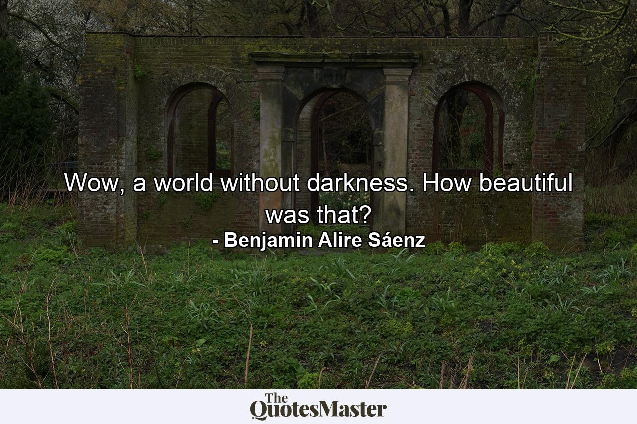 Wow, a world without darkness. How beautiful was that? - Quote by Benjamin Alire Sáenz