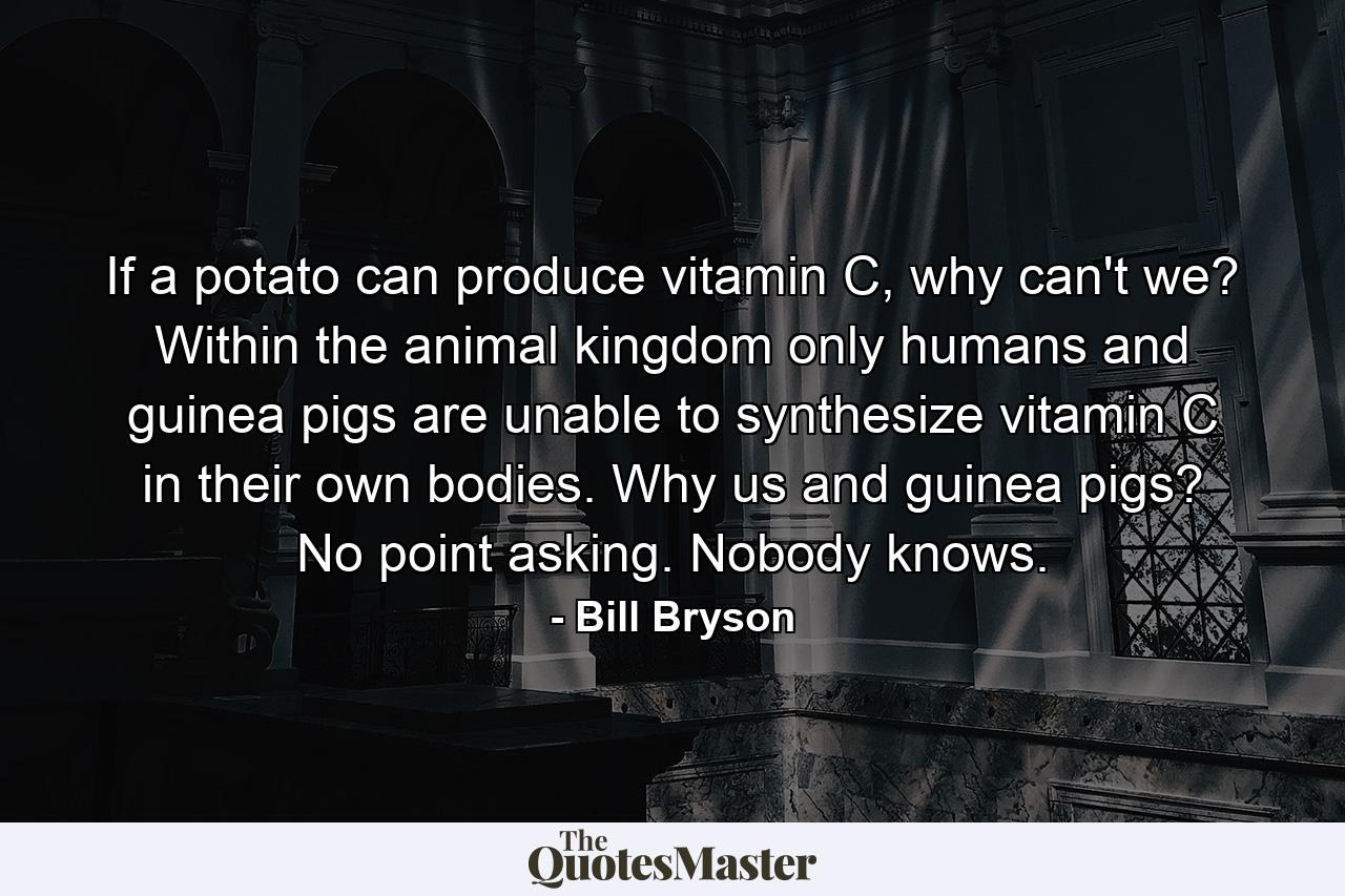 If a potato can produce vitamin C, why can't we? Within the animal kingdom only humans and guinea pigs are unable to synthesize vitamin C in their own bodies. Why us and guinea pigs? No point asking. Nobody knows. - Quote by Bill Bryson