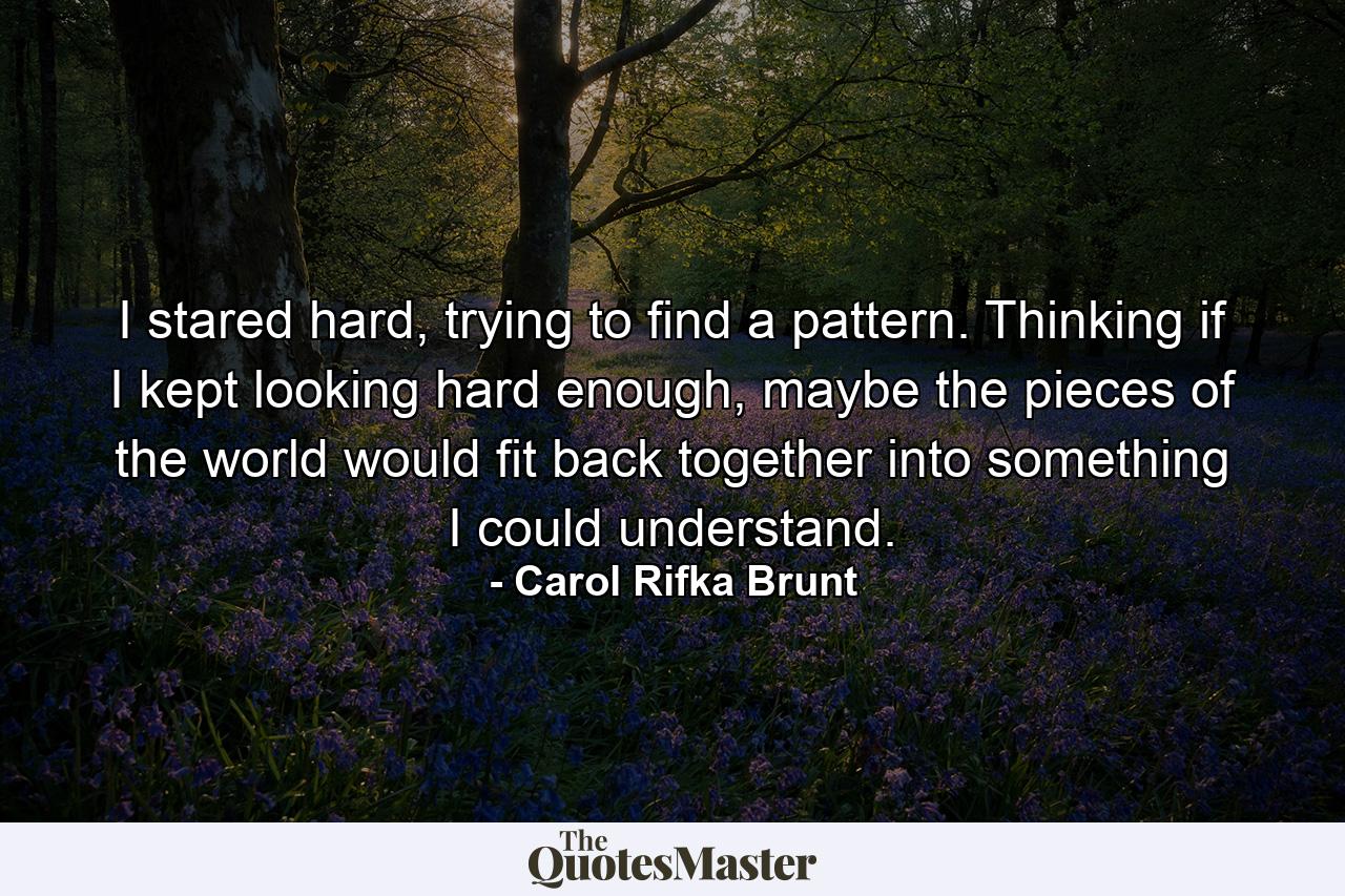 I stared hard, trying to find a pattern. Thinking if I kept looking hard enough, maybe the pieces of the world would fit back together into something I could understand. - Quote by Carol Rifka Brunt