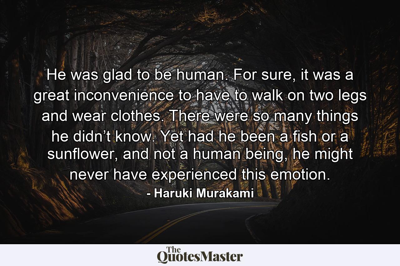 He was glad to be human. For sure, it was a great inconvenience to have to walk on two legs and wear clothes. There were so many things he didn’t know. Yet had he been a fish or a sunflower, and not a human being, he might never have experienced this emotion. - Quote by Haruki Murakami