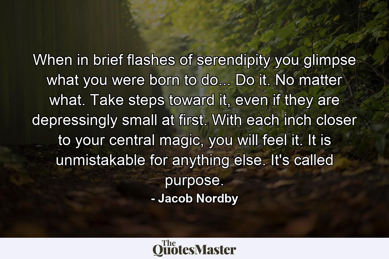 When in brief flashes of serendipity you glimpse what you were born to do... Do it. No matter what. Take steps toward it, even if they are depressingly small at first. With each inch closer to your central magic, you will feel it. It is unmistakable for anything else. It's called purpose. - Quote by Jacob Nordby