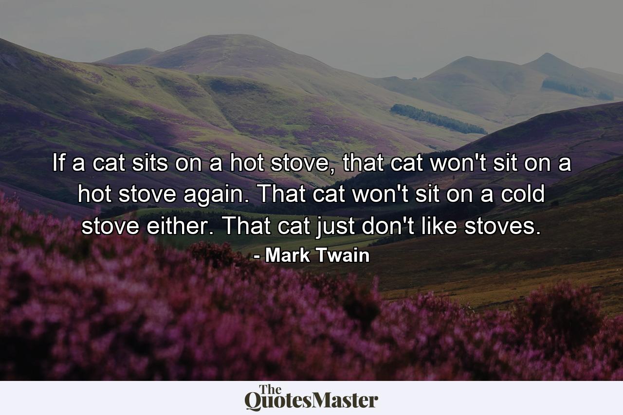 If a cat sits on a hot stove, that cat won't sit on a hot stove again. That cat won't sit on a cold stove either. That cat just don't like stoves. - Quote by Mark Twain