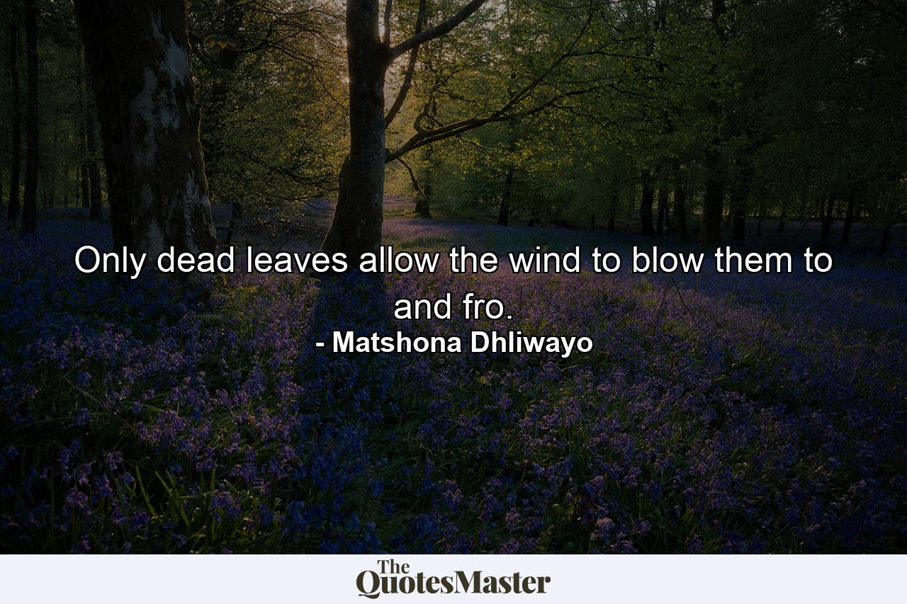 Only dead leaves allow the wind to blow them to and fro. - Quote by Matshona Dhliwayo