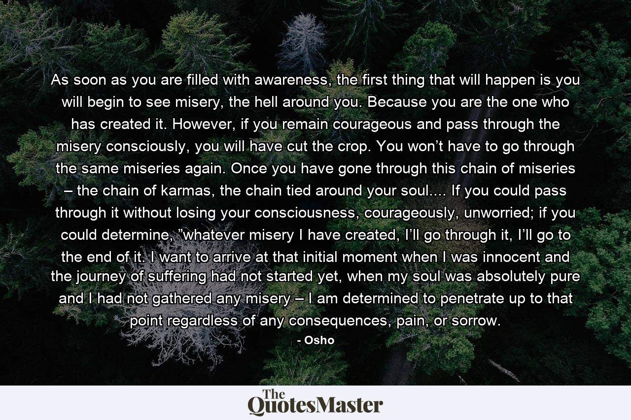 As soon as you are filled with awareness, the first thing that will happen is you will begin to see misery, the hell around you. Because you are the one who has created it. However, if you remain courageous and pass through the misery consciously, you will have cut the crop. You won’t have to go through the same miseries again. Once you have gone through this chain of miseries – the chain of karmas, the chain tied around your soul.... If you could pass through it without losing your consciousness, courageously, unworried; if you could determine, ”whatever misery I have created, I’ll go through it, I’ll go to the end of it. I want to arrive at that initial moment when I was innocent and the journey of suffering had not started yet, when my soul was absolutely pure and I had not gathered any misery – I am determined to penetrate up to that point regardless of any consequences, pain, or sorrow. - Quote by Osho