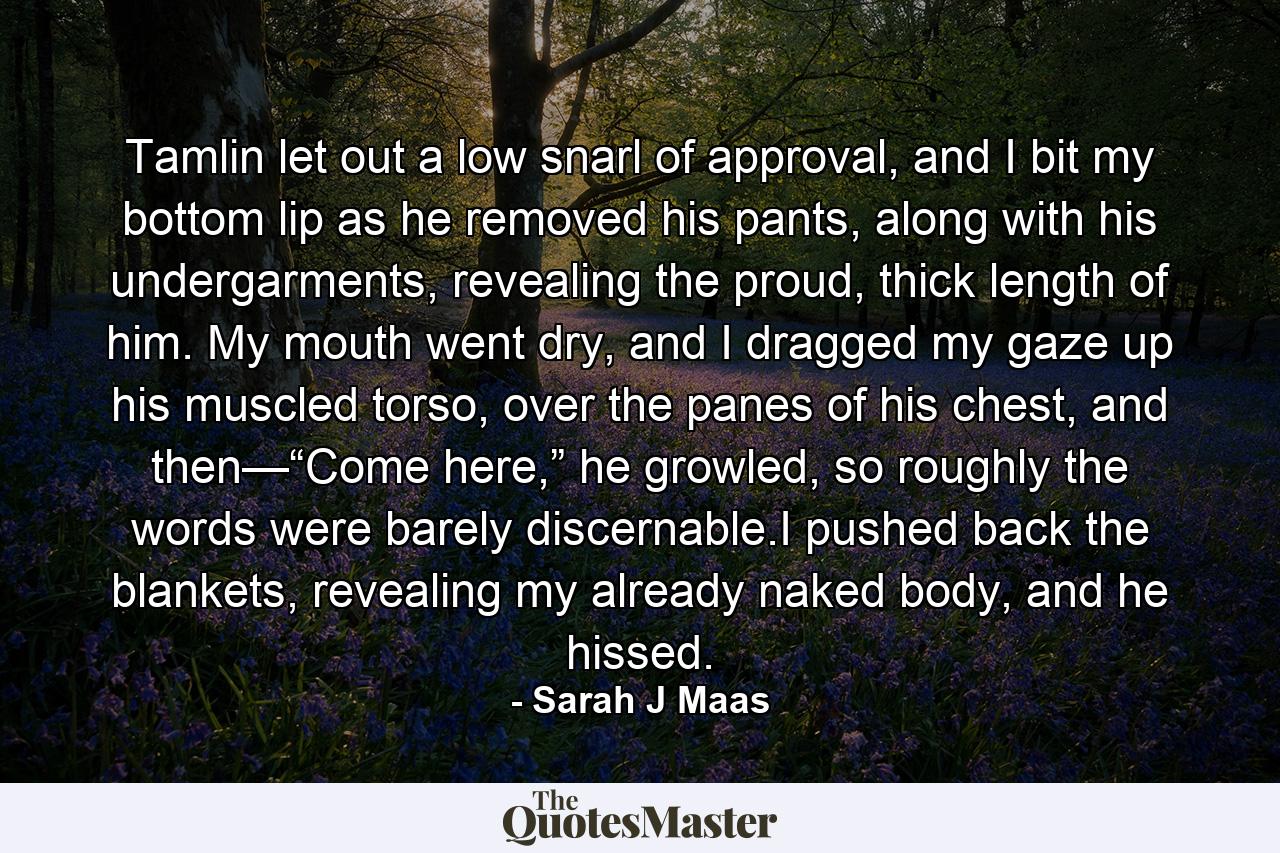 Tamlin let out a low snarl of approval, and I bit my bottom lip as he removed his pants, along with his undergarments, revealing the proud, thick length of him. My mouth went dry, and I dragged my gaze up his muscled torso, over the panes of his chest, and then—“Come here,” he growled, so roughly the words were barely discernable.I pushed back the blankets, revealing my already naked body, and he hissed. - Quote by Sarah J Maas